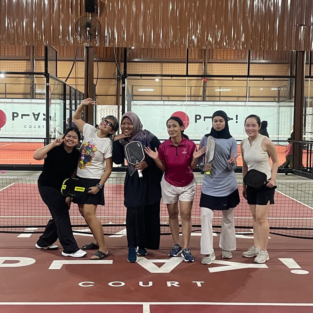 Pinkelball media 2