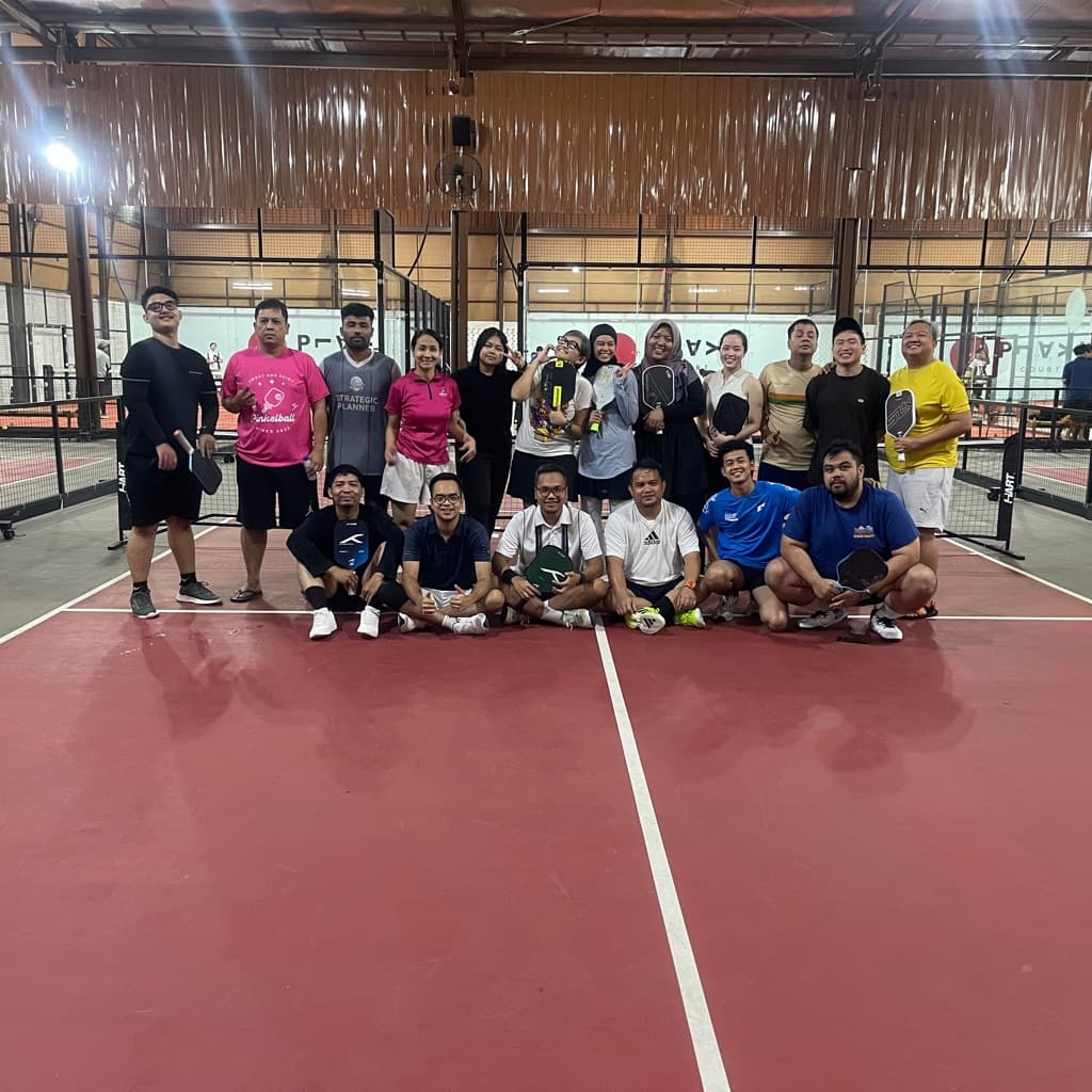 Pinkelball media 3