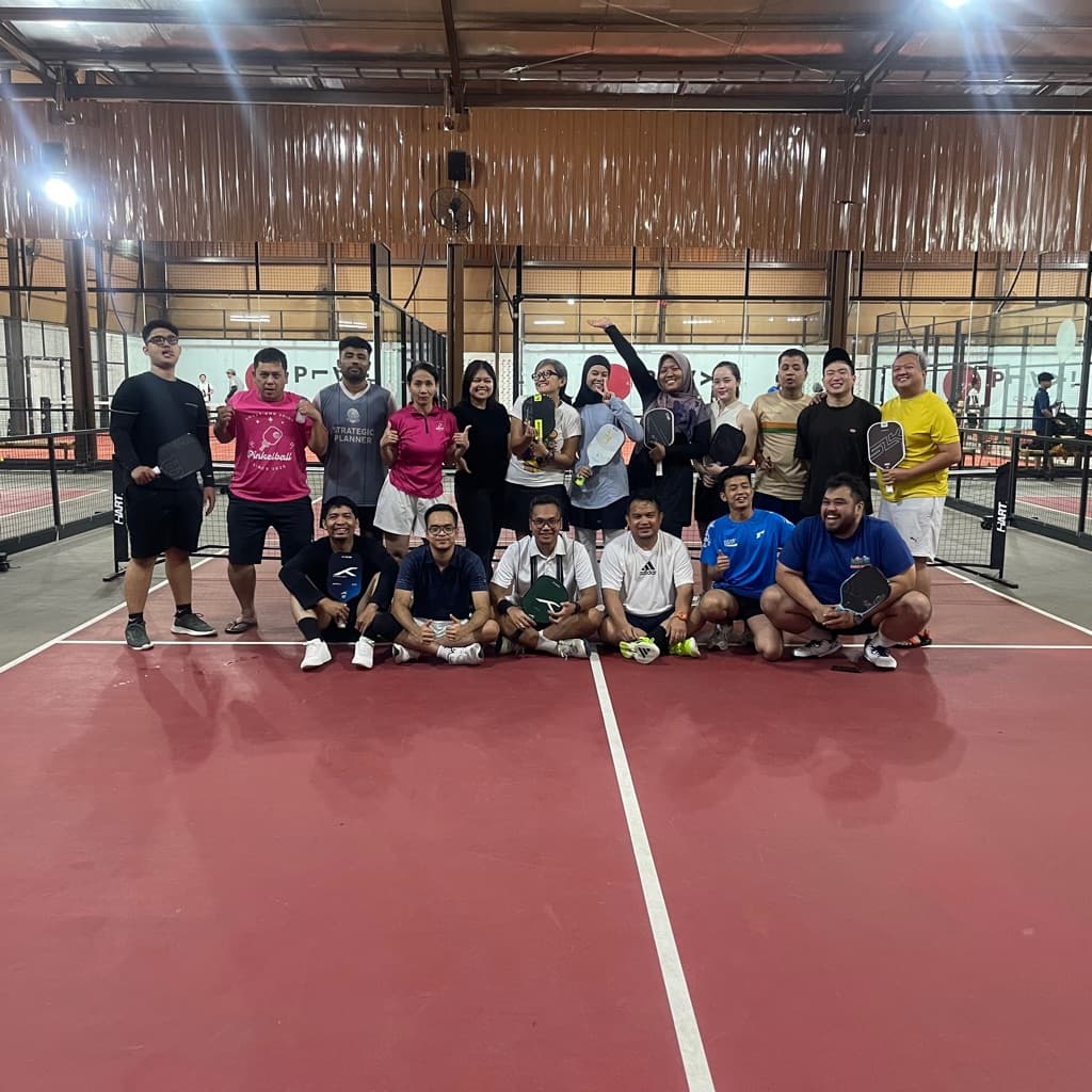 Pinkelball media 4