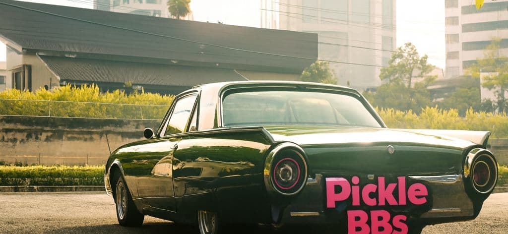 Pickle BBs media 1