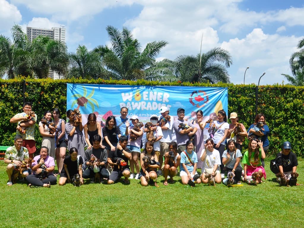 Sausage Gank Active Club media 1