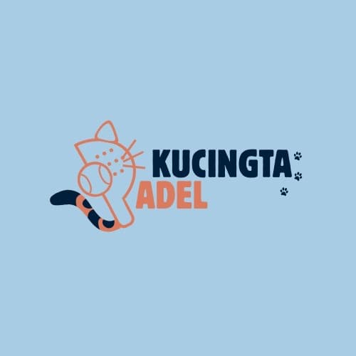 KUCINGTA PADEL media 1