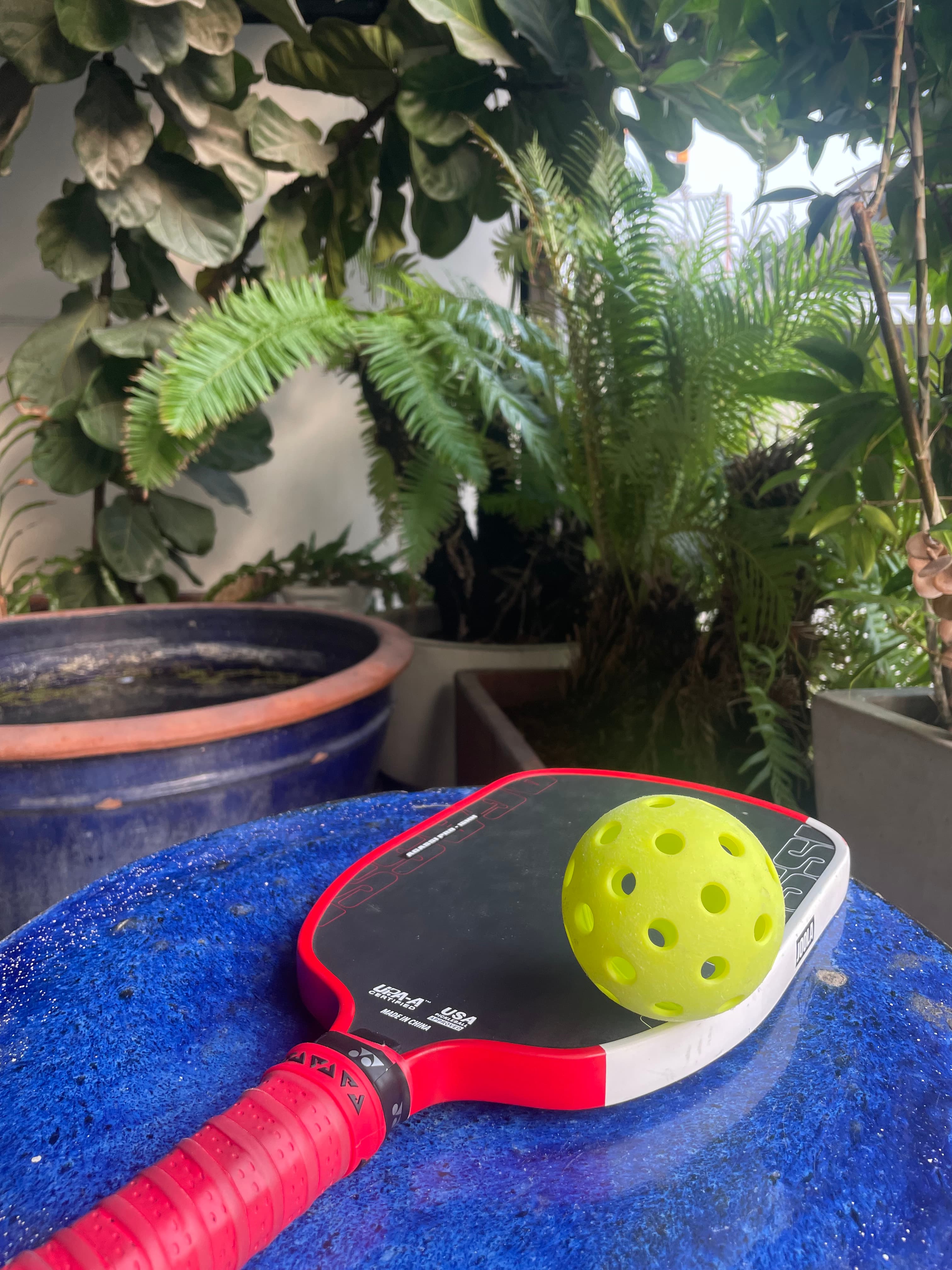 Pickleball Mr.Phong  media 2