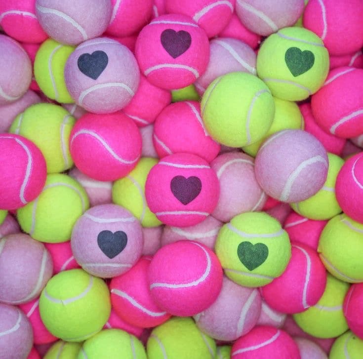 STAY SUNNY PADEL CLUB media 1