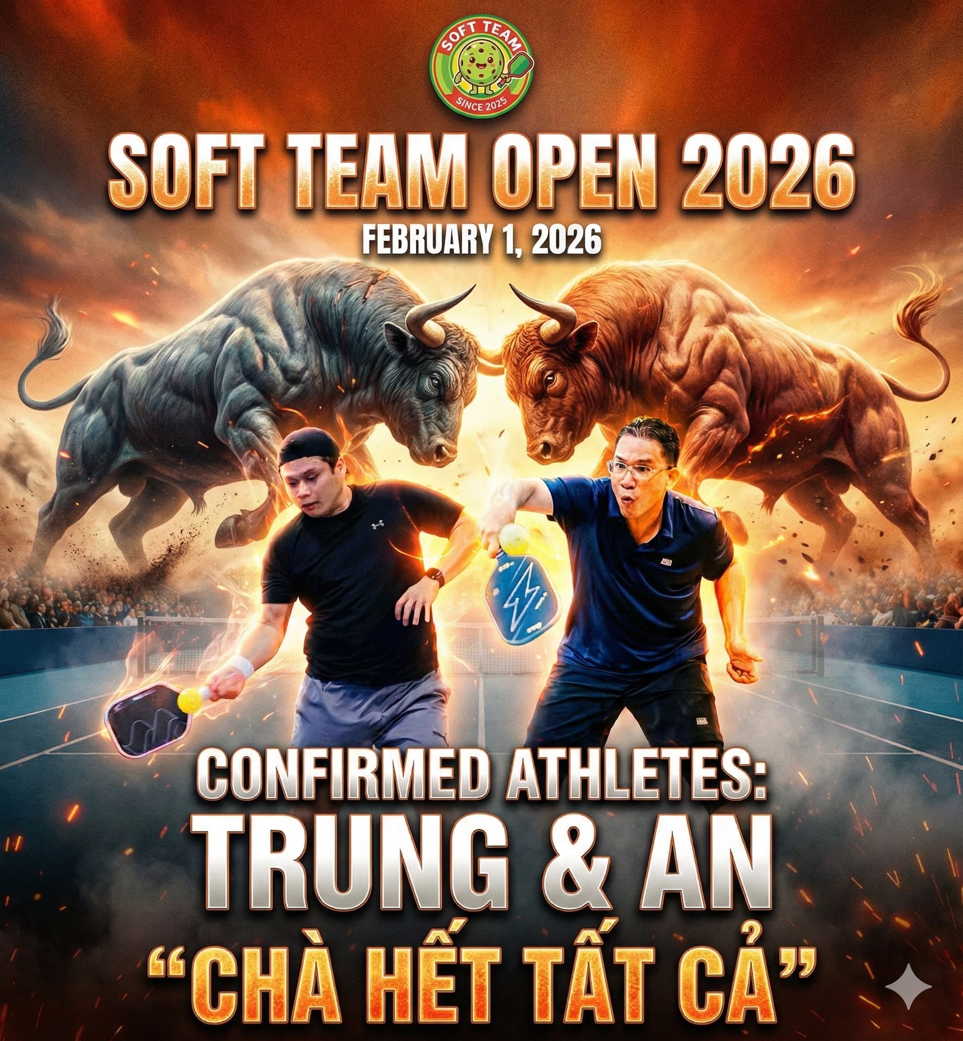 The Soft team media 6