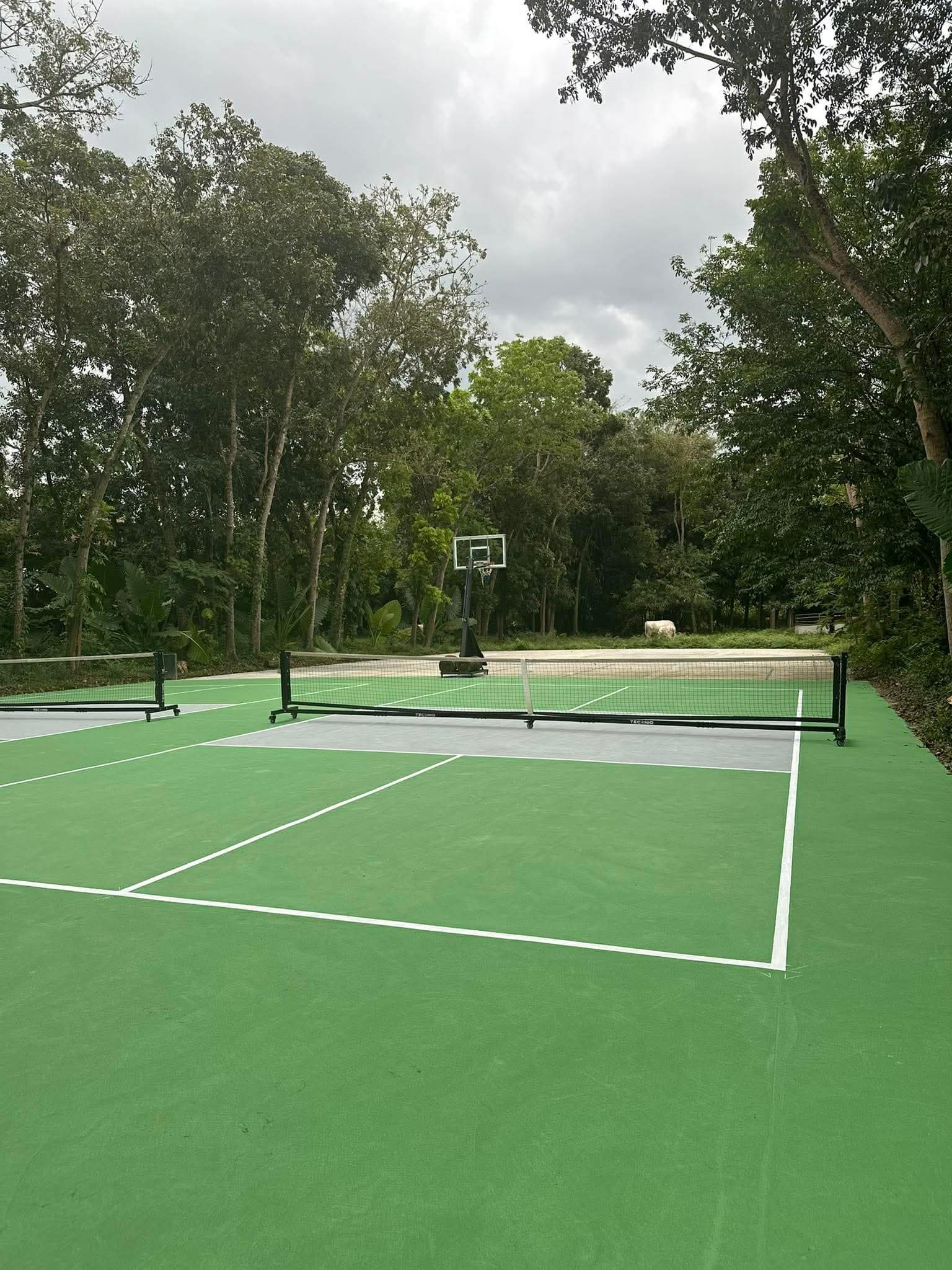 Pickleball at Kilyawan Farm Resort media 1