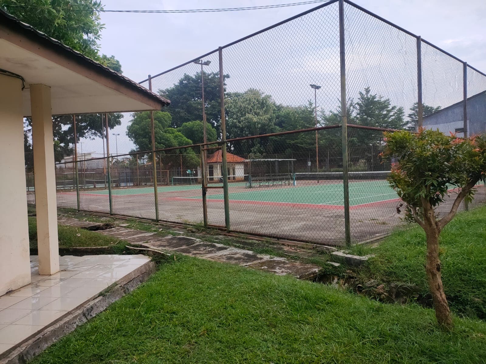 Tenis Jeh media 1