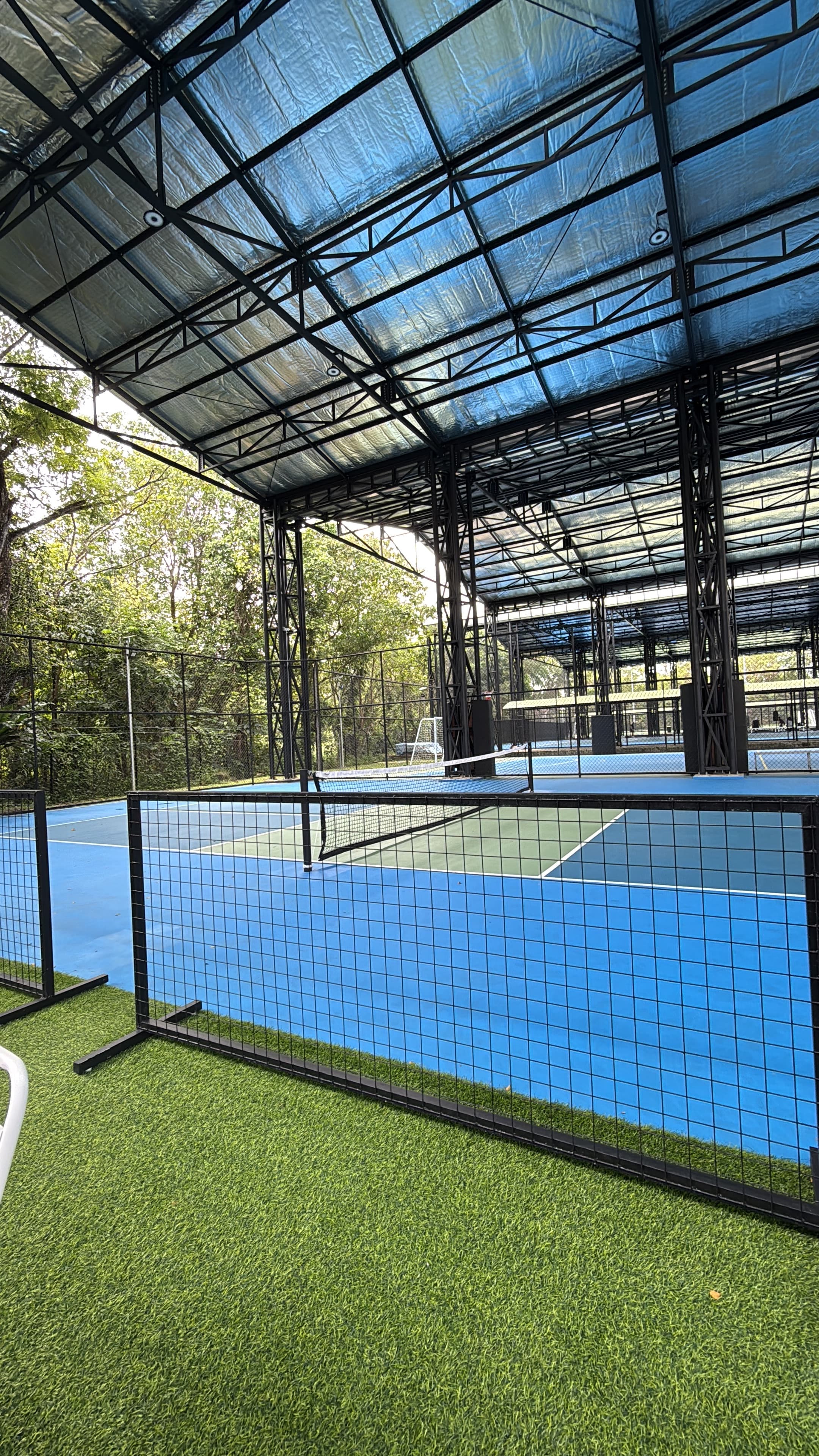 Peak-a-dink media 1