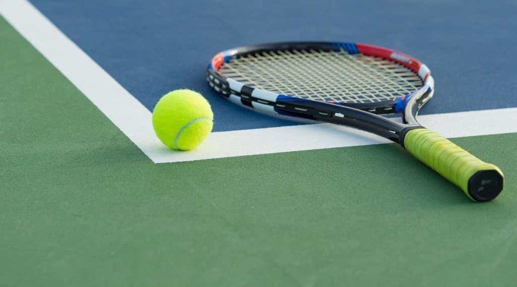 Teman Tenis media 4