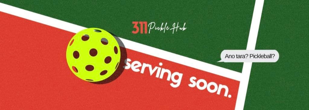 311 PickleHub media 1
