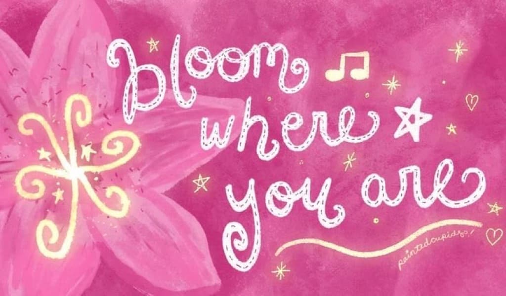 bloom & rally 🌸 media 4