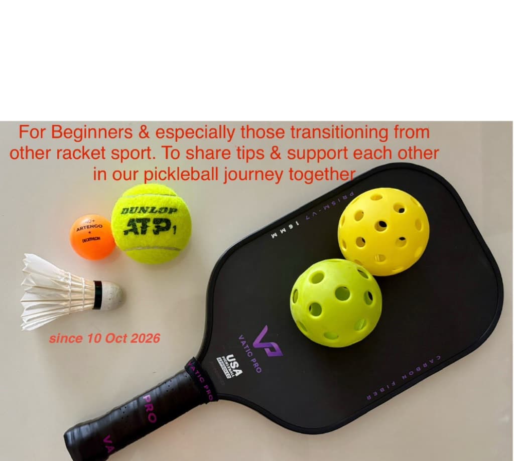 Transition to pickleball media 1