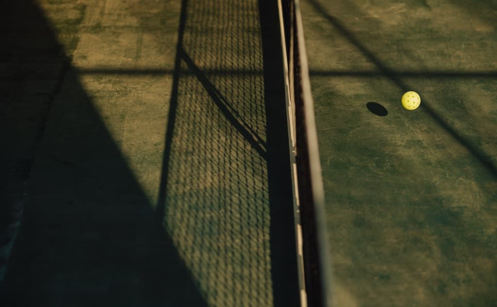 WIMBLEDINK media 1