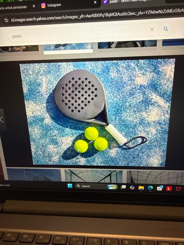 Padellove media 1