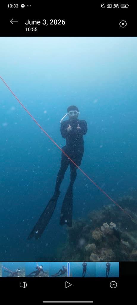 Dink and Dive media 6