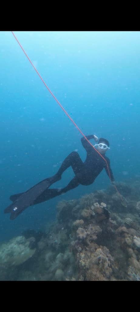 Dink and Dive media 5