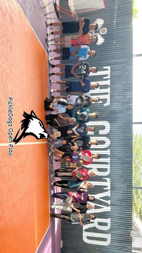 DOGZ media 2