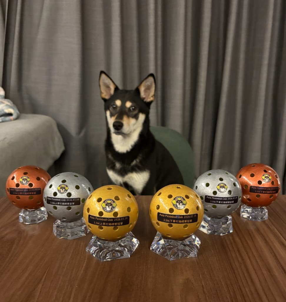 Maia Pickleball Club media 1