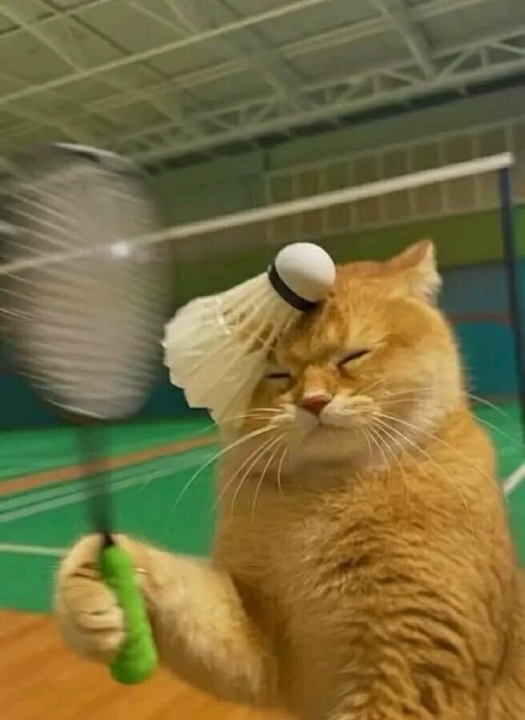 NOMADS BADMINTON media 1