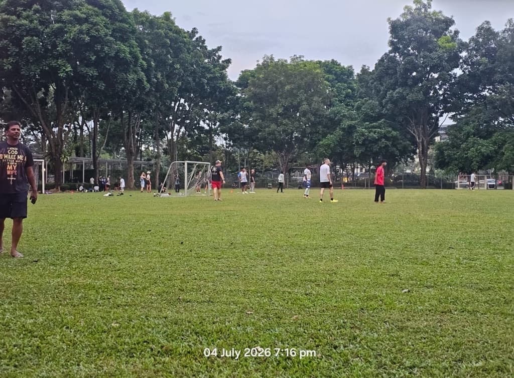 DesaPark United media 6