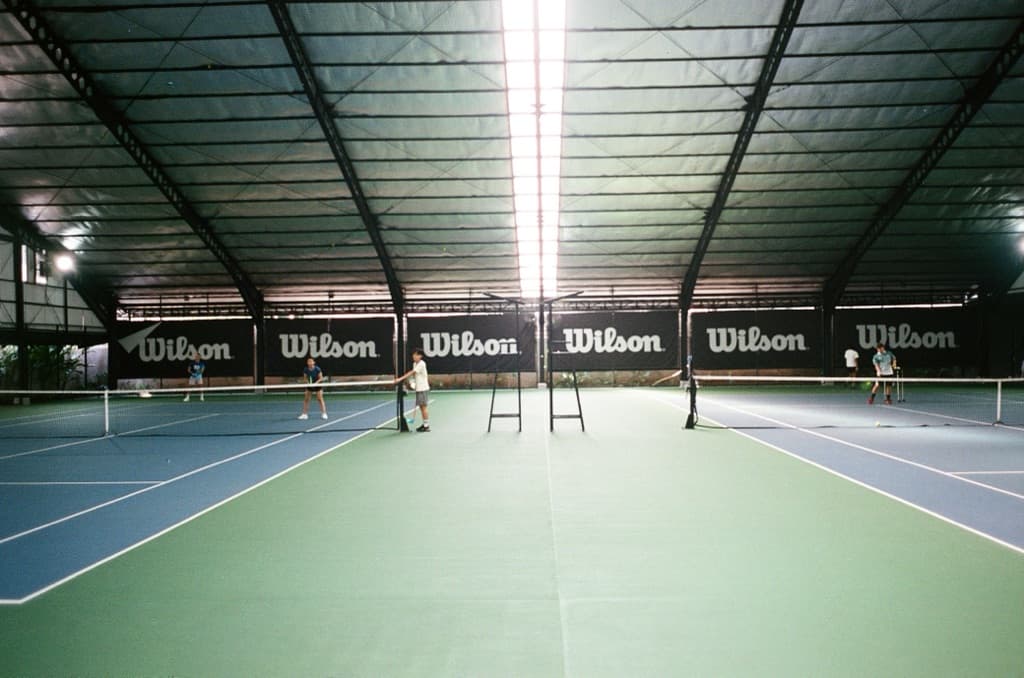 Kucing Tennis media 1