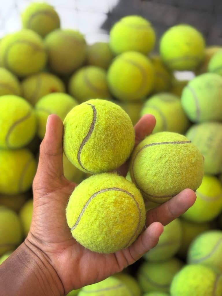 Royal Bear Tennis Club media 1