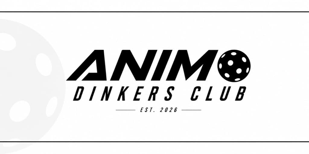 ANIMO DINKERS ‘14 👽 media 1