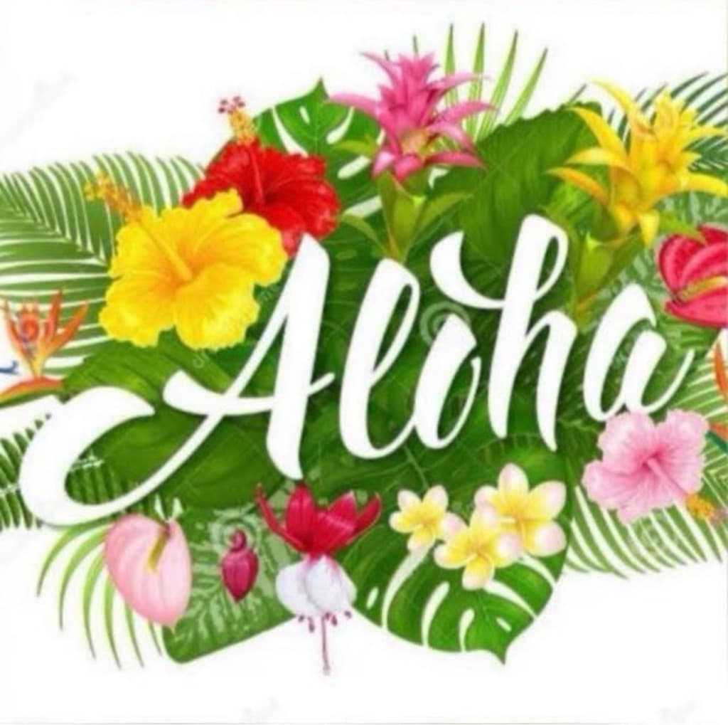 ALOHA PADEL CLUB media 1