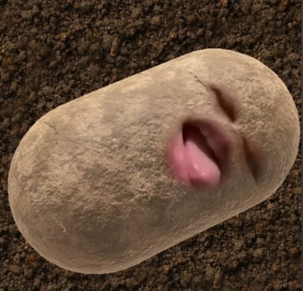 Smash Potato Club media 2