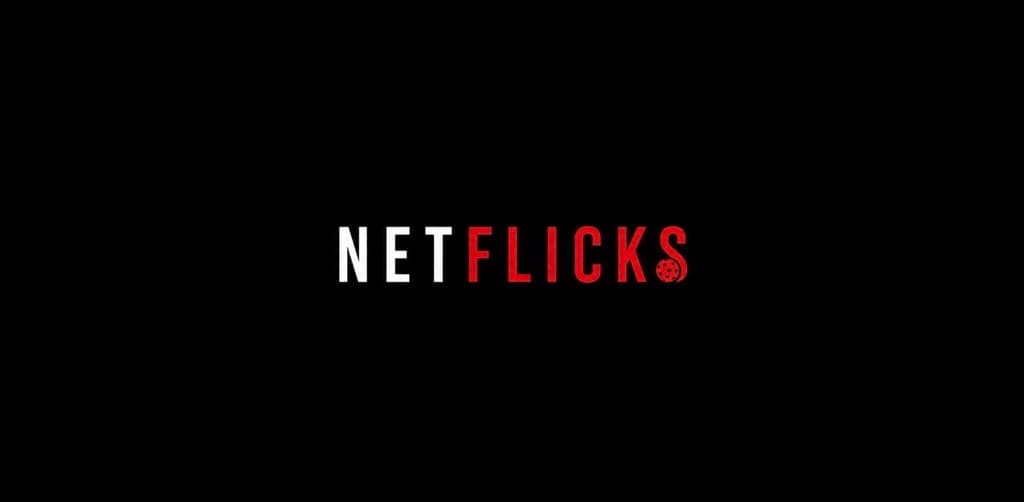 Netflicks media 2