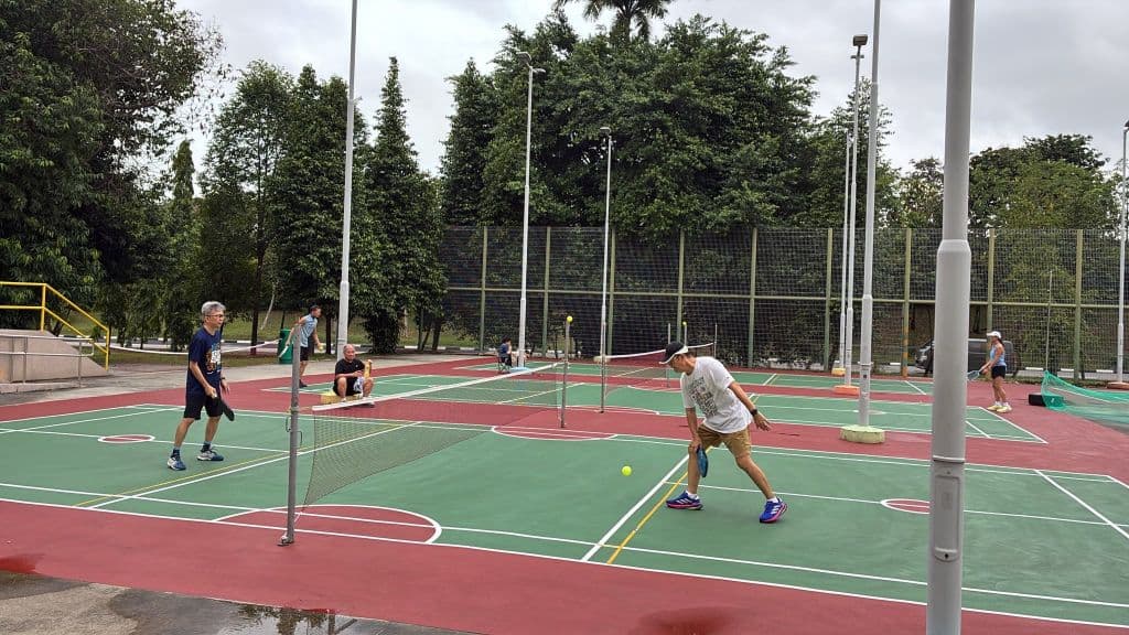 Leo & friends fun Pickleball media 1