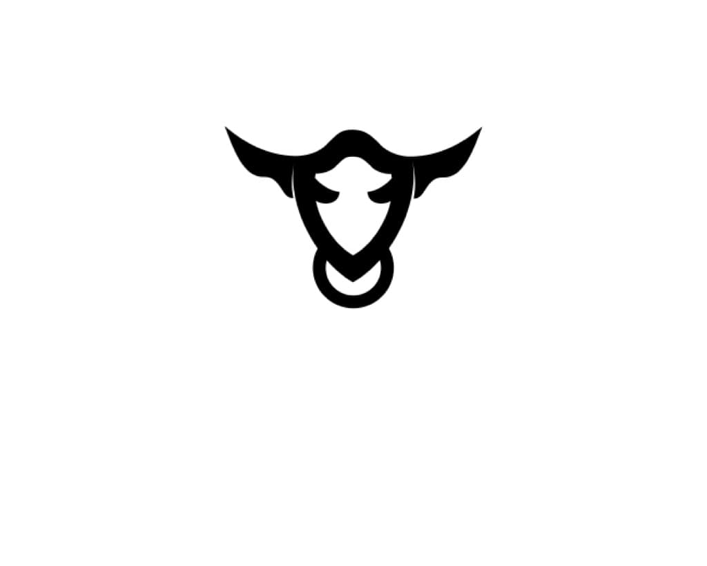 Forge Nexus media 1