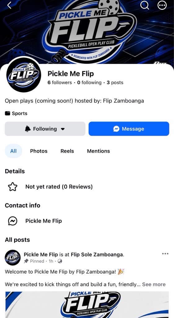 PICKLE ME FLIP media 2