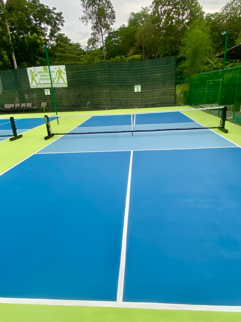Monina Pickleball media 4