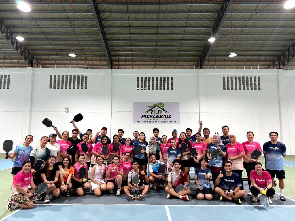 VolleyBug Pickleball media 1