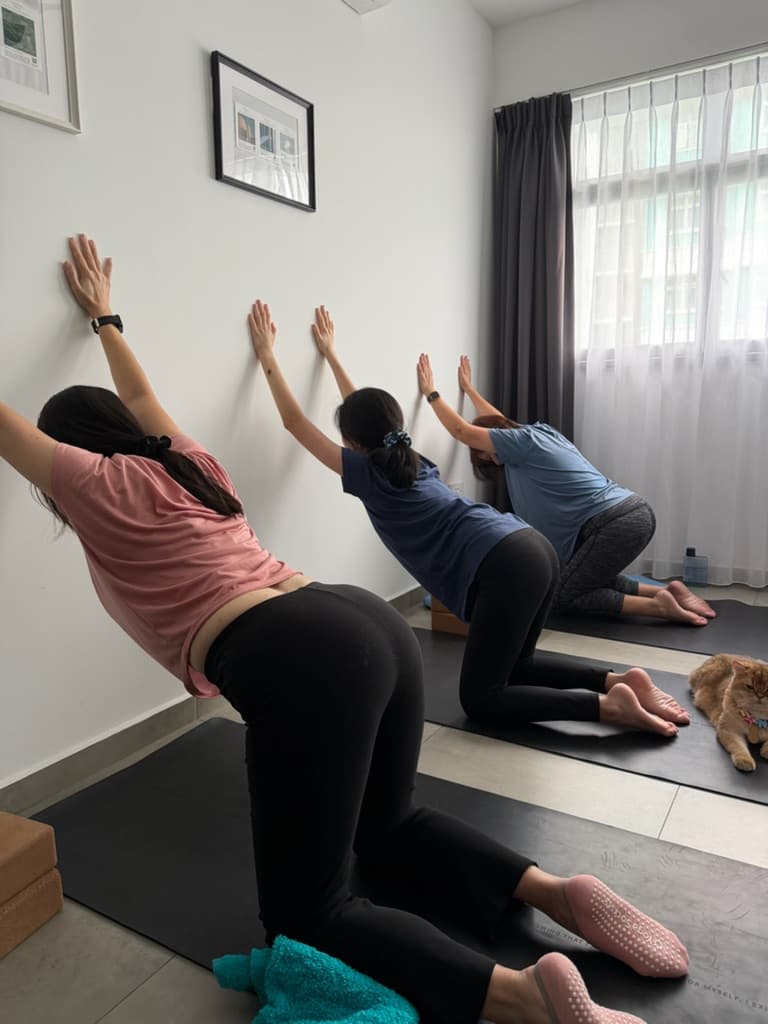 Yogawgrace media 3