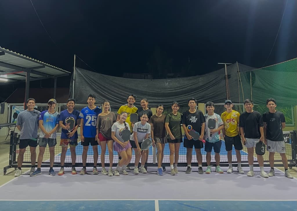 Pick-a-Ball🥒 media 1