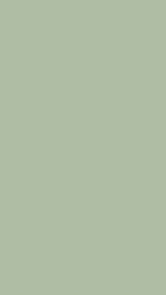 Pickl B media 3