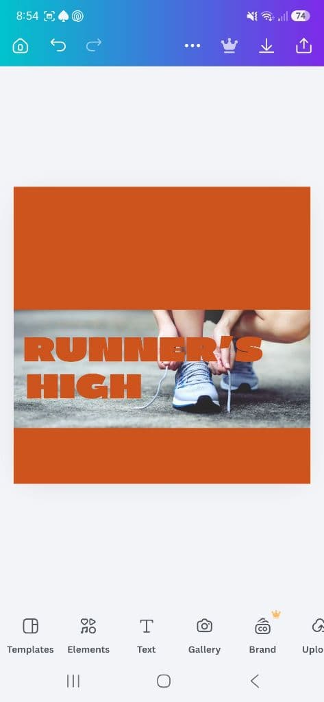 Runner's High media 1