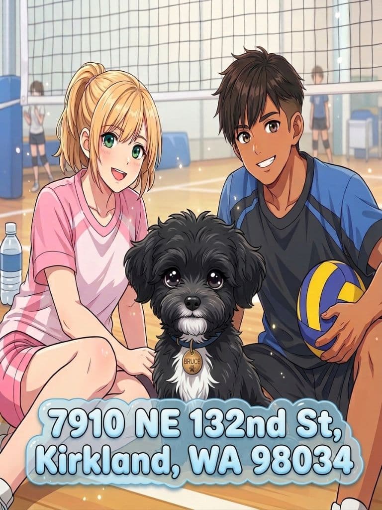 Ki's Volleyball Days  media 1