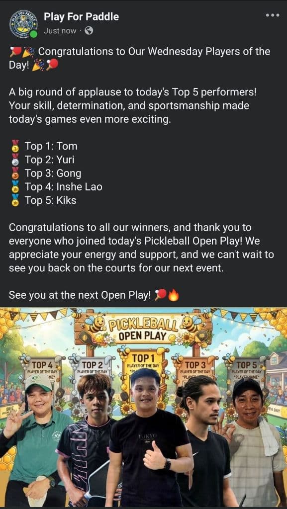 Play For Mystery Paddle media 4