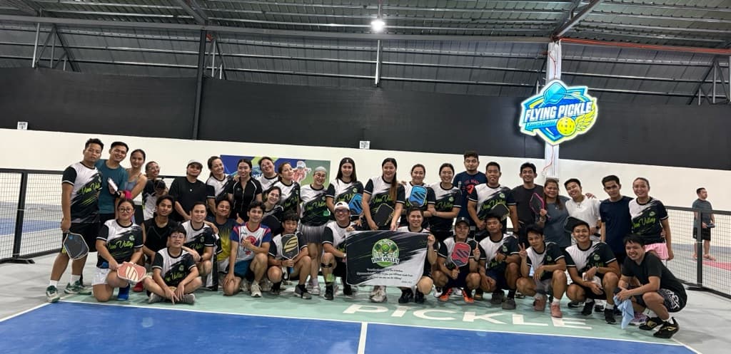 Vine Volley media 4