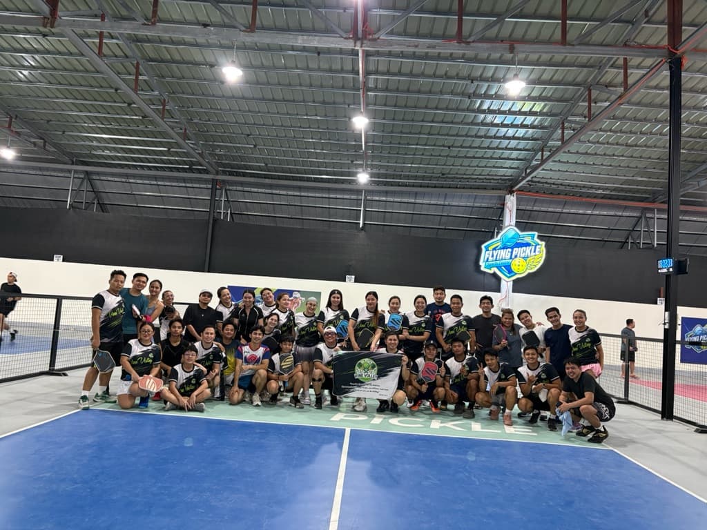 Vine Volley media 3