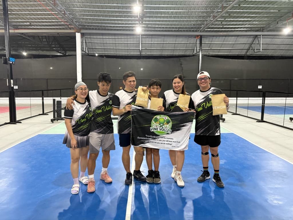 Vine Volley media 5
