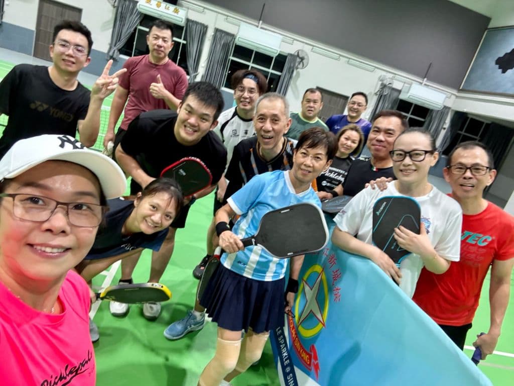 Hi-Five Pickle Ball media 1