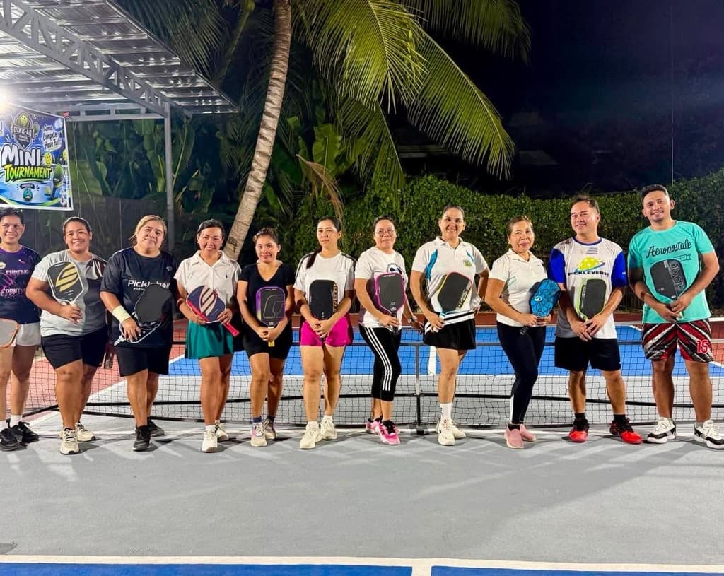 Dink-AO Courts Open Play media 1