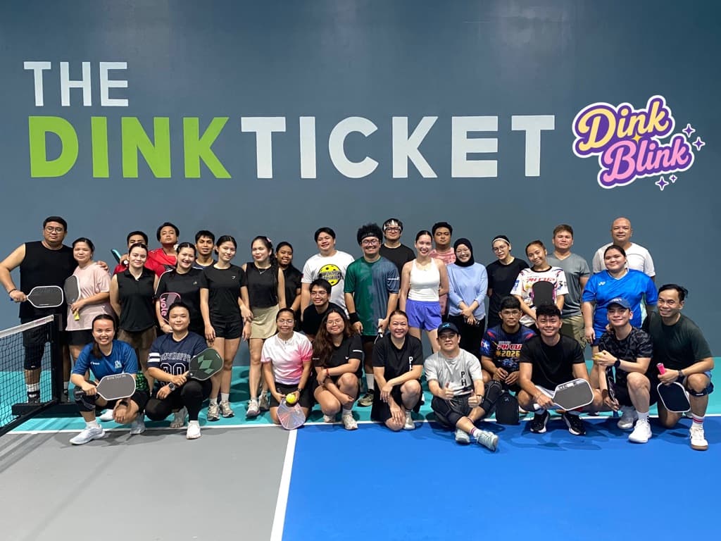 Dink Blink  media 5