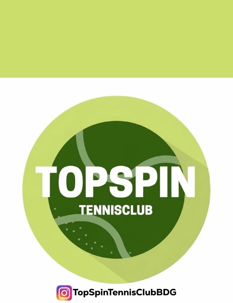TOP SPIN media 1