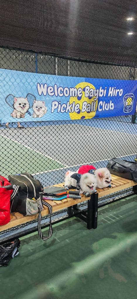 Baybi Hiro Pickle Ball Club  media 3