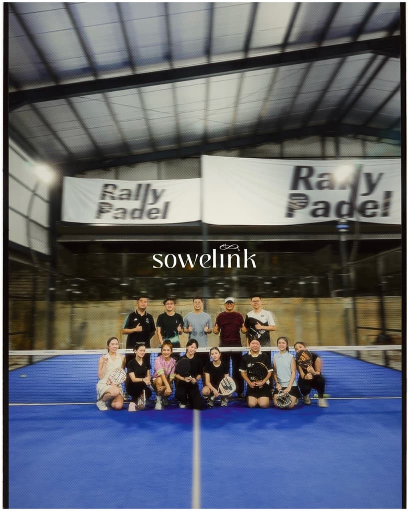 sowelink media 4